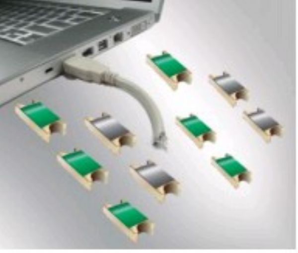 想不到吧!旺仔才是年轻人的「硬核锦鲤」:MK电竞(图2) MK电竞