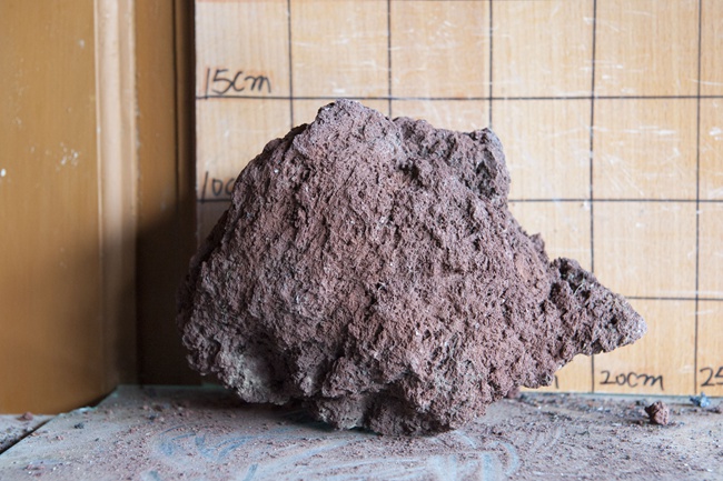 关于病毒的手抄报六年级，科学手抄报(关于细菌、病毒、真菌)“