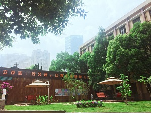 【MK电竞】实小西区全体教师深入学习《中国共产党农村工作条例