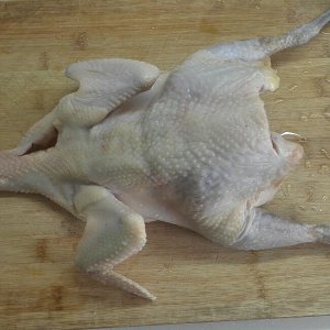 东城根街小学参加青羊区第二十四届“科技之春”科普月启动仪式-