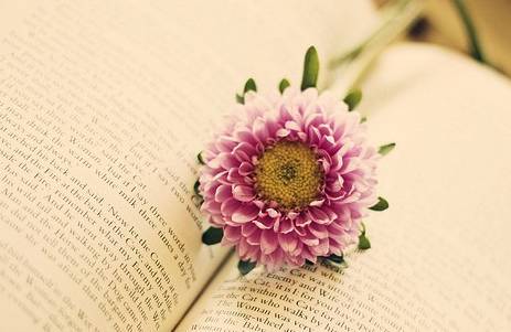 看看优秀的一句话广告文案有多牛逼|MK电竞(图2) MK电竞