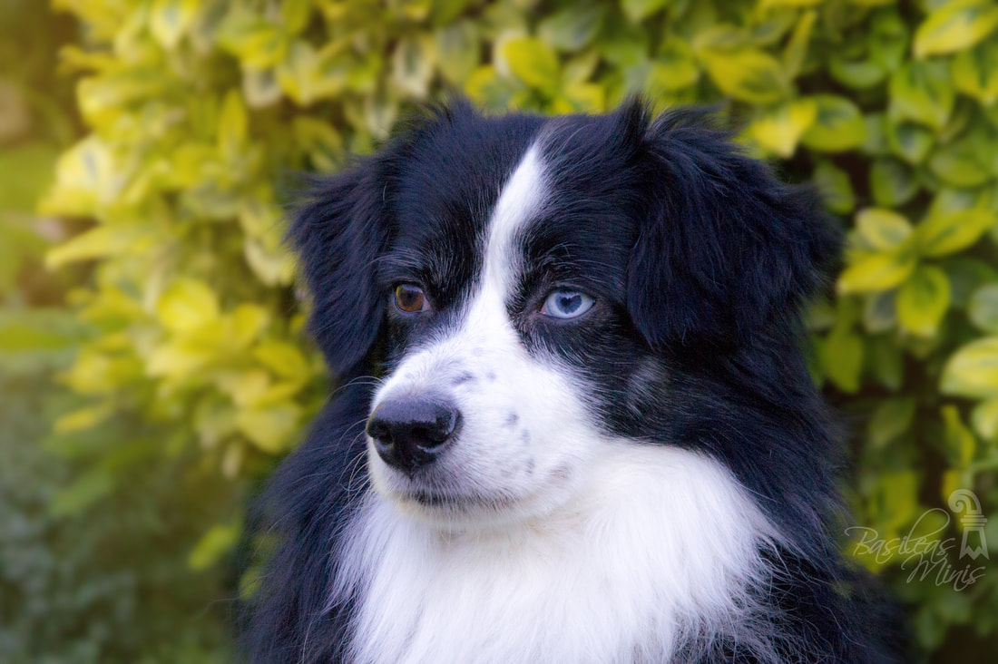 MK电竞|如何用创意引领社交媒体前沿—星空联盟“因你而不同”