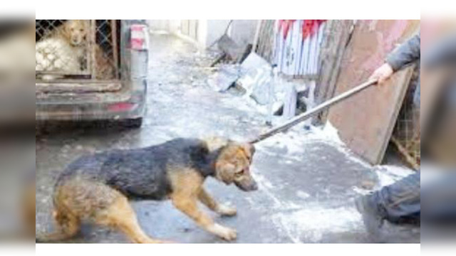 无敌舰队全军覆没西班牙被英国打败：MK电竞