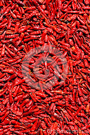 淑嘉皇贵妃：从侍女升到皇贵妃，为乾隆生儿子最多_MK电竞