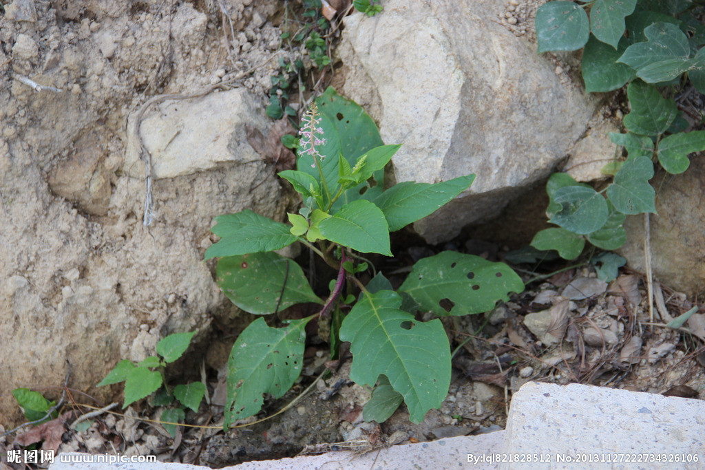 【MK电竞】即墨一小区公布的企查查告白旋律与“嘻唰唰”极端相