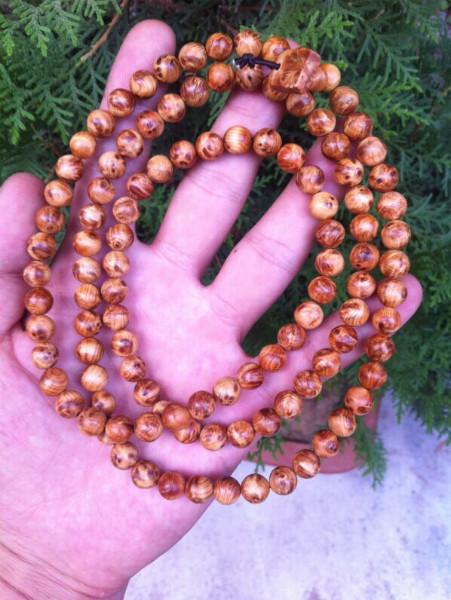 开展安全教育帮助孩子自我认知【MK电竞】