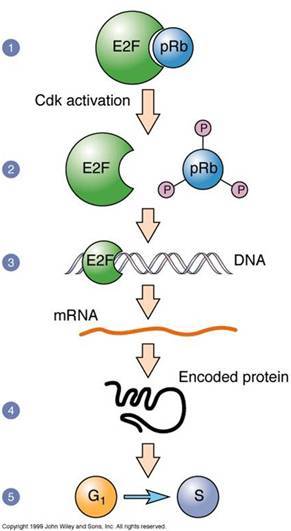 ‘MK电竞’名人刻苦读书的故事大全(图3) MK电竞
